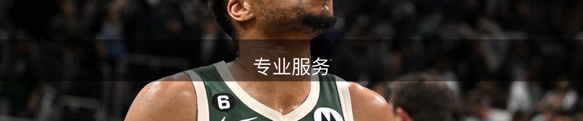 专业服务